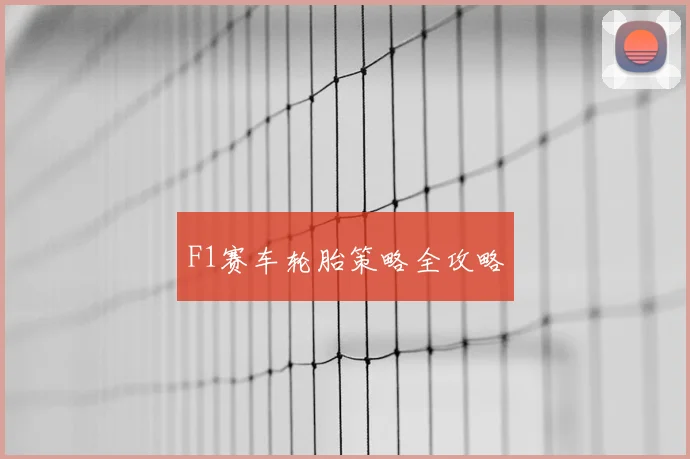 F1赛车轮胎策略全攻略